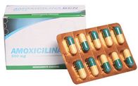 أقراص أموكسيسيلين 500 ملغ البكتيريا شبه المضادات الحيوية المقاومة للأدوية