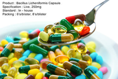 Bacillus Licheniformis Capsule Live ، 250 ملغ من الأدوية الفموية